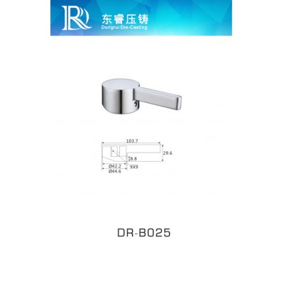 DR - B025